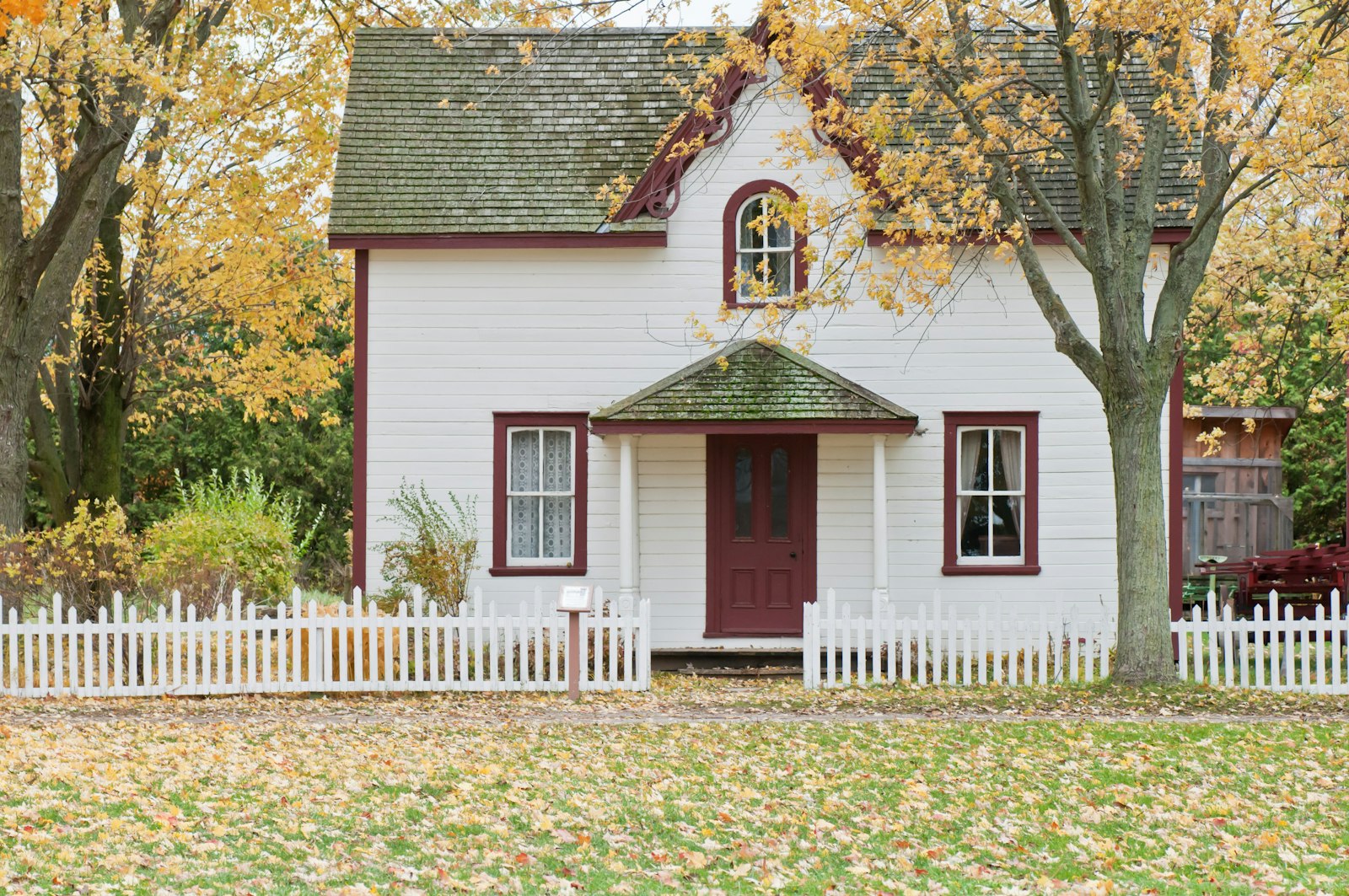 White farmhouse beneath mature maple trees in fall, with fallen leaves covering the yard and collecting along the roofline